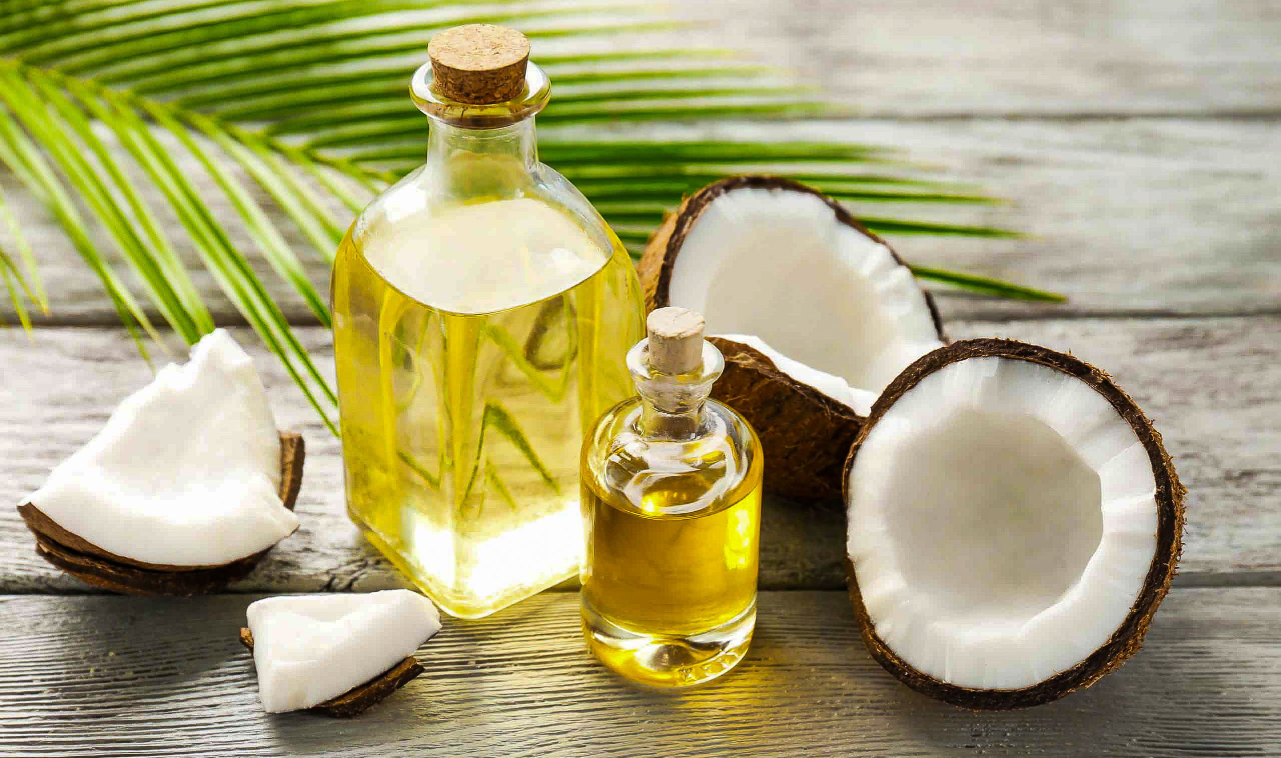 alt="coconut oil in glass bottles next to a cracked coconut and with a coconut palm leaf in the background."