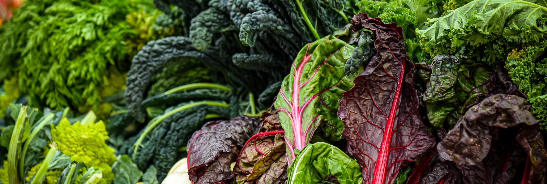 alt="several different types of dark green leafy vegetables, particularly kale and Swiss chard."